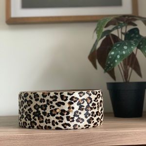 Leopard Pony Hair Waist Belt